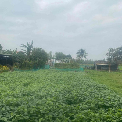 Điện hoà sát đà nẵng dưới 500 triệu dg 3m