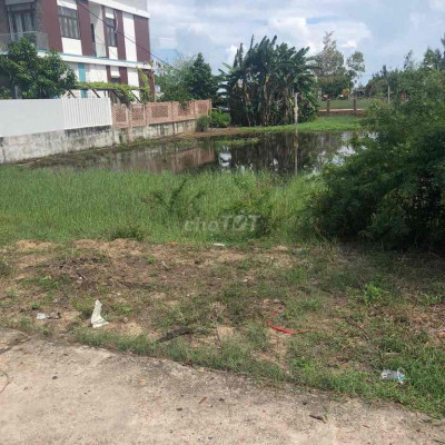 đất trồng cây nam hội an