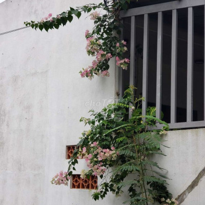 Cho Thuê nhà sàn đúc mới xây 80m2 giáp FPT, Làng Đại Học