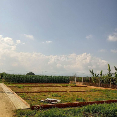 DT: 115m2 - Ngang 5m - Gần Sát Bên Thị Trấn Ái Nghĩa