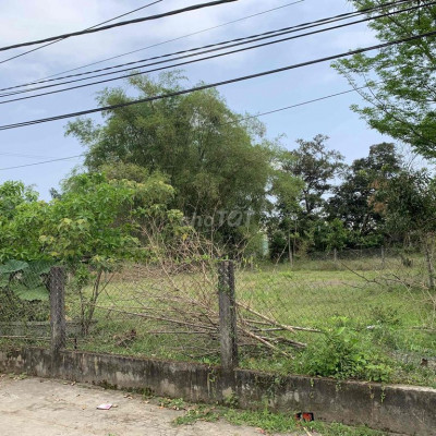 Gia Đình Cần Bán Lô Đất Trồng Cây Lâu Năm Tp Tam Kỳ - Gần Trung Tâm