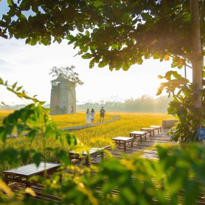 Cho thuê 1500m2 đất view lúa Cẩm Châu kinh doanh Cafe