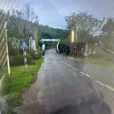 Cần bán mảnh đất nền thuộc trục đường chính tam kỳ-hồ phú ninh,