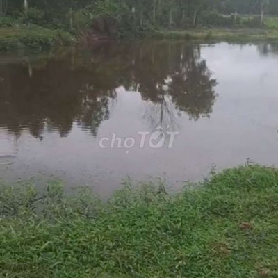 Bán 4000 đất vườn có 300 đất ở. phù hợp làm nhà vườn nghĩ dưỡng .