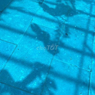 Cho thuê nhà nguyên căn phố cổ