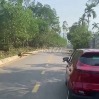 bán nhà vườn mặt tiền 617 tam mỹ tây.dt 1775m2 có 200m đất ở