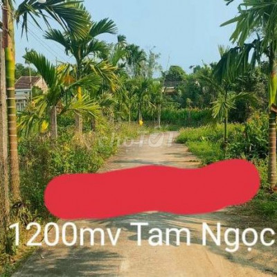 bán 1200mv có 300mv Tam Ngọc - lô góc, một bên có view lúa.Đường oto
