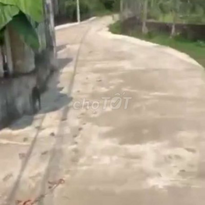 Cần bán lô đất vườn bình trung thăng bình.dt 2320 m2