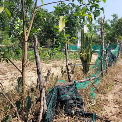 Cần bán lô đất vườn mặt tiền 60 mét giáp đường bê tông