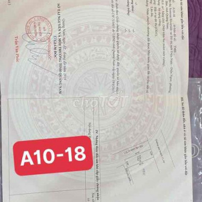 sentosa kẹp đường cây xanh