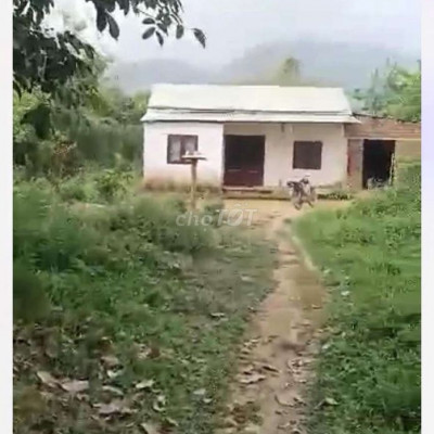 chính chủ cần bán lô đất ở kèm vườn măt tiền bê tông