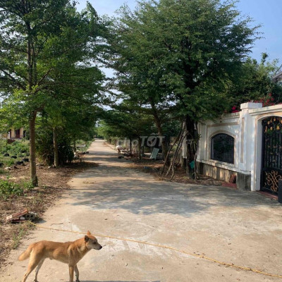 CHÀO LÔ BÊ TÔNG ĐIỆN NGỌC CÁCH ĐƯỜNG DT607 100m