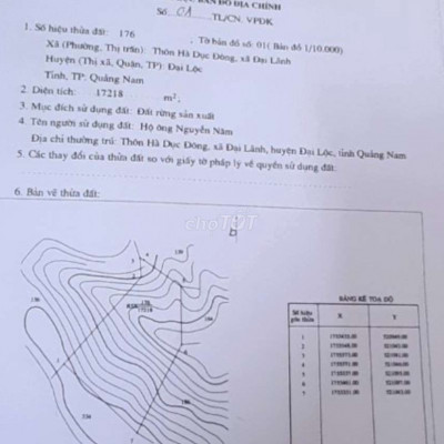 Đất rừng sản xuất cho thuê dài hạn
