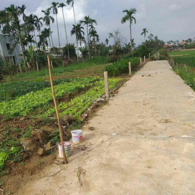 bán đất đại an sát thụ trấn ai nghĩa