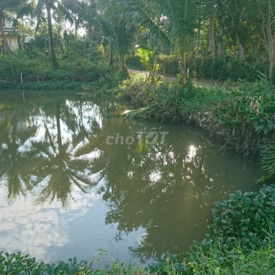 Cho Thuê Đất: Cơ Hội Kinh Doanh Sinh Thái Câu Cá và Quán Ăn Nhẹ