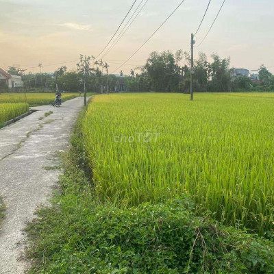 Đất vườn gần KCN Panco Tam Thăng .Rộng thoáng , sát nhà dân