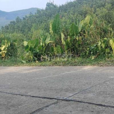 Bán 5.7ha đất mặt tiền đường liên xã tăng keo dăm ham 2 năm