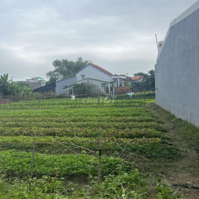 BÁN ĐẤT ĐIỆN NGỌC 100M2  SỔ ĐỎ SẴN CHỈ CÓ 1 TỶ GẦN ĐÀ NẴNG