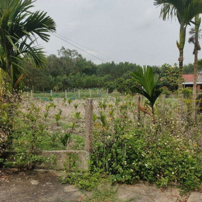 Cần bán gấp lô đất chính chủ bán rẻ