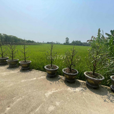 265m2 Đất - TX Điện  Bàn gần Đường DT 609 - View đẹp