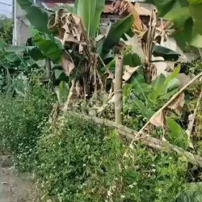 💥💥💥Chính chủ cần lô đất bê tông 3m điện quang 💥💥💥