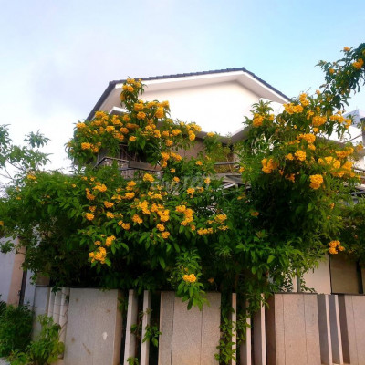 Bán nhà 2 Mặt tiền Ven Sông Cẩm Nam - TP Hội An -View Sông - Pháo bông