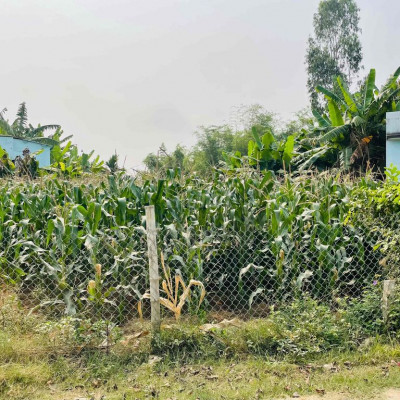 Sụp hầm lô đất 173m2 ngay cầu Cẩm Kim-DP, đường QH15m,cách DH21 50m