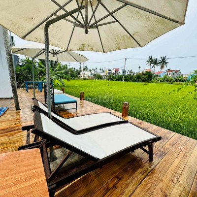 VILLA 300m2 VIEW LÚA CẨM CHÂU GIÁ CỰC RẺ