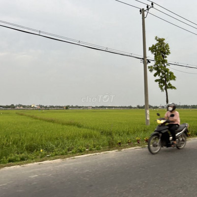 Bán Lô đất 778m2 Mặt tiền Tống Văn Sương Hội An, View Cánh Đồng
