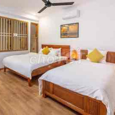 Hội An Hotel for rent -Villa for ren -Hoài River Hoi An - 9 beds - 5