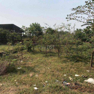 bán đất biệt thự điện hoà điện bàn thích hợp xây biệt thự