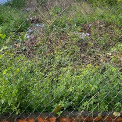 Tôi là chính chủ cần bán gấp lô đất tại khu phố Quảng Tây điện dương