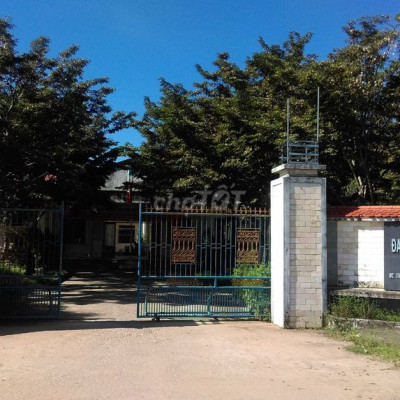 Chính Chủ Cần Bán Đất Thôn La Thọ 2, Xã Điện Hoà Liền Kề Cụm CN