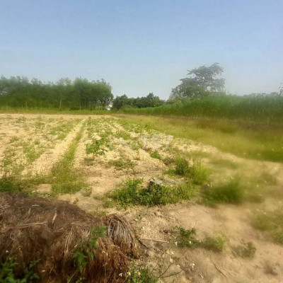 Cần ra đi đất thổ cư