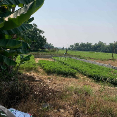 Đất Tứ Câu Điện Ngọc 570 tr