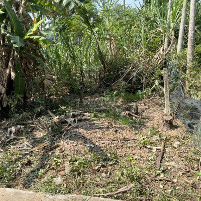 Đất thôn Hà Đông 90m2, 6x15, đường 4.5m, cách trục đường lớn chỉ 50m