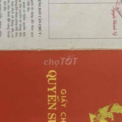 Chính chủ bán đất đường QH 19,5 mét ngã ba Lạc Long Quân (có TL)