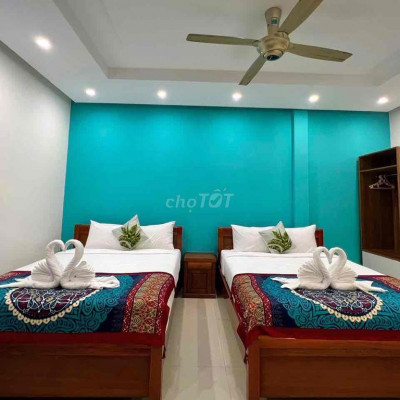 Hoi An Villa for rent . An Bang Beach 5 beds - good price 32 Millions