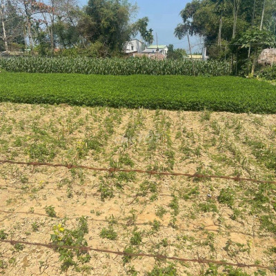 Kẹt tiền cần bán lô đất đẹp cách thị trấn Ái Nghĩa 5phút giá chỉ 600tr