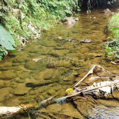 Bán nhà vườn bám suối bám đường DH Tổng 10.470m2 có 400m đất ở