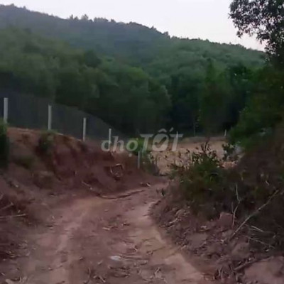 Chính chủ Cần bán 12ha đất rừng tặng kèm ke