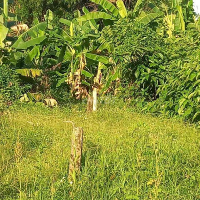 💥💥 Chào Lô Thị Trấn💥💥 👉👉Đường Nông Cống nối dài. Diện tích 188m2 đất O