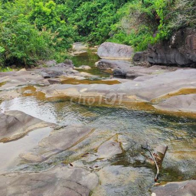 Cần bán 2 ha keo 3 năm đất bằng phù hợp làm trang trại