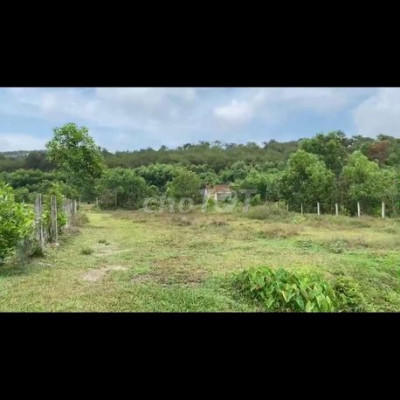 Cần bán Views sông 5000m2.đất ở 300m2 Tam xuân 2. Hai mặt tiền đường