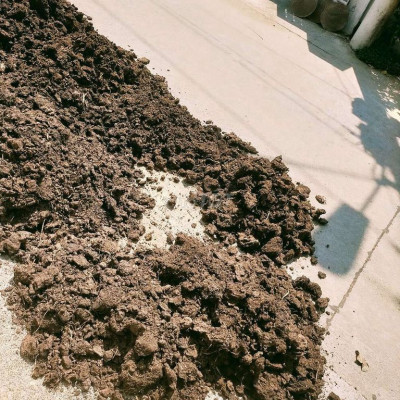 Cần bán cho ai cần nhé