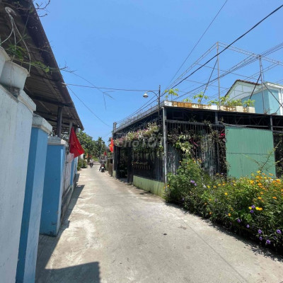 Lô đất rẻ  Hội An, phù hợp xây homestay