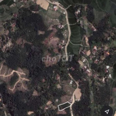 Bán nhà vườn 1300m2 có 300 đất ở Tien thọ tiên phước quảng Nam