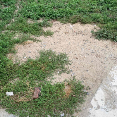 Đất Tứ Ngân Điện Ngọc 830tr