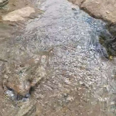 Cần bán đất trang trại tại Tiên Hiệp Tiên Phước . 5 hetta