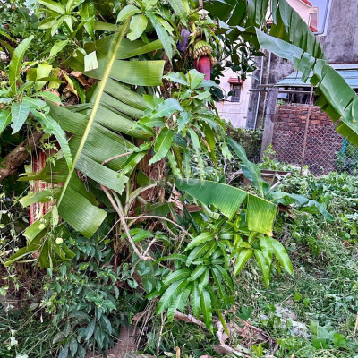 Cần bán lô đất thổ cư 150m2 đường ô tô ven sông gần cầu Cẩm Nam